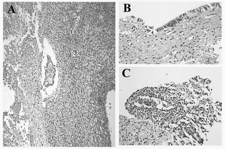 Figure2