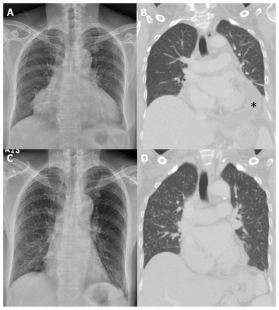 Figure 1: