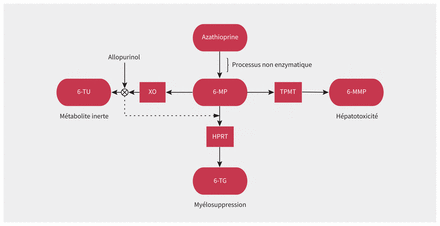 Figure 2: