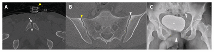 Figure 1: