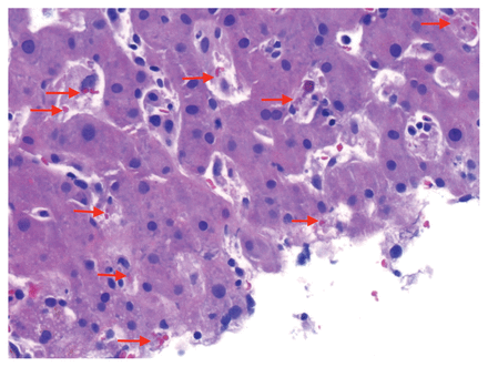 Figure 2: