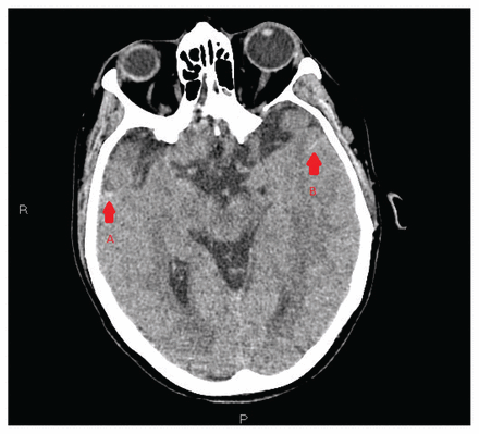 Figure 1: