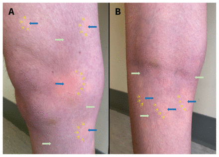 Figure 1: